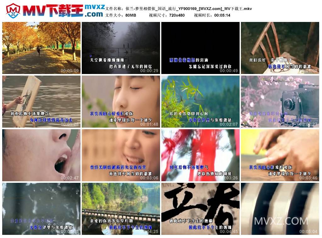 依兰-梦里相偎依_国语_流行_YF900169